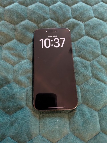 Apple iphone pro - max, 256